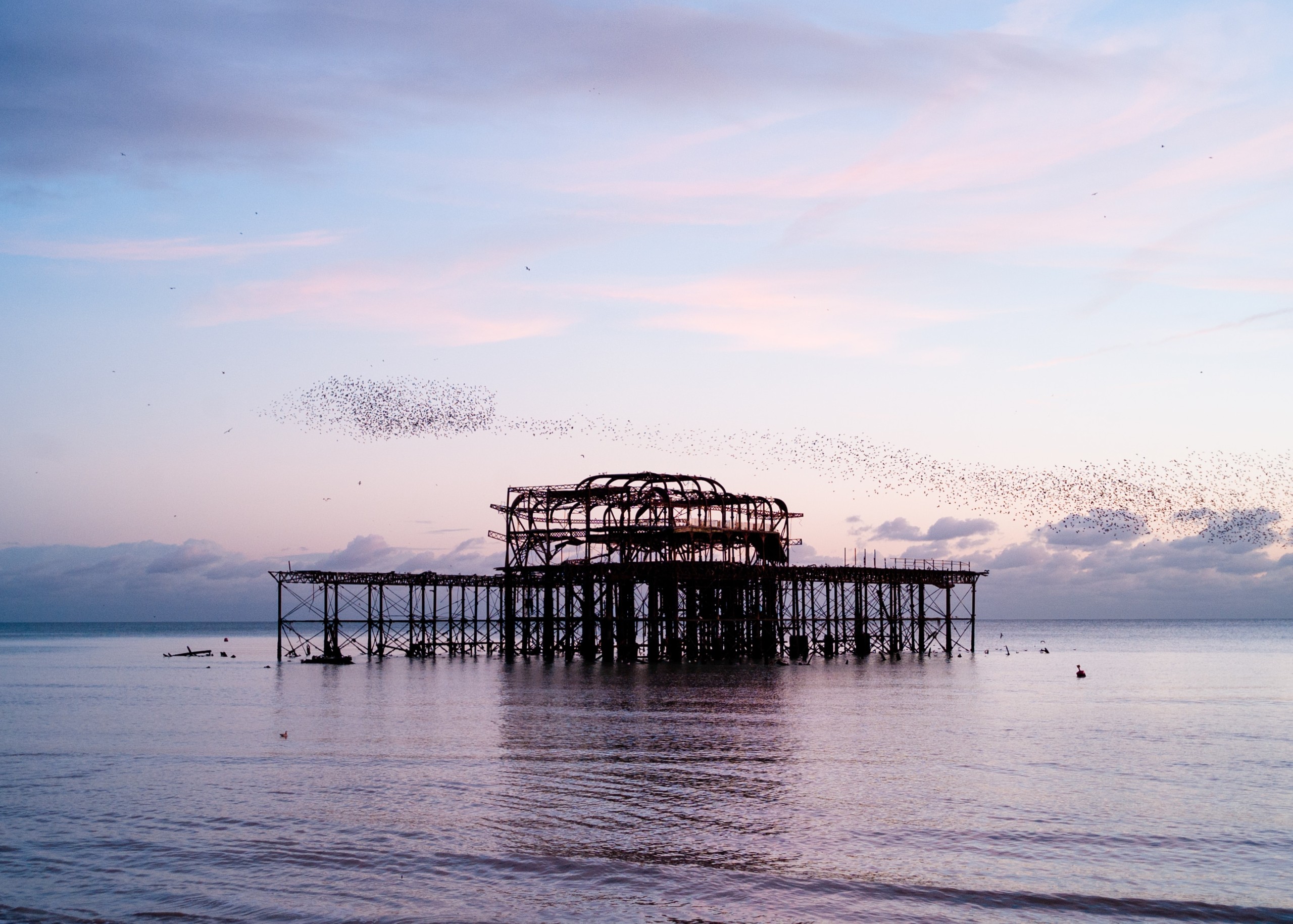 Hove coast